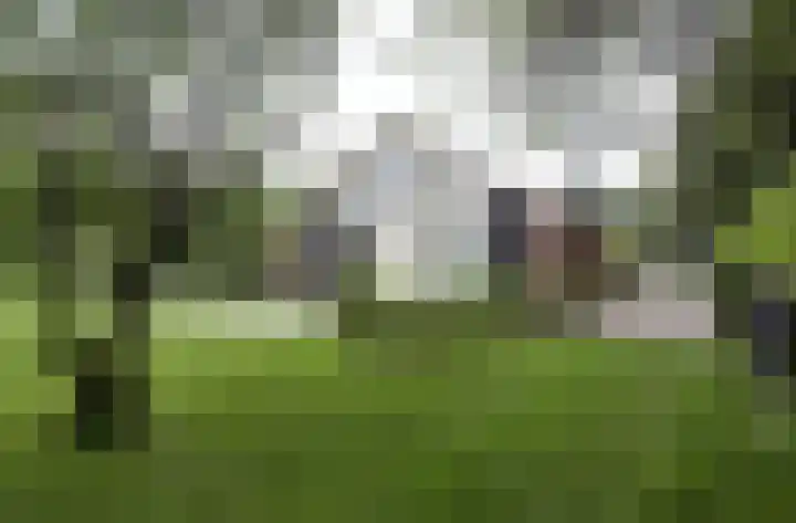 Oudewei 14 Bemmel thumbnail 38