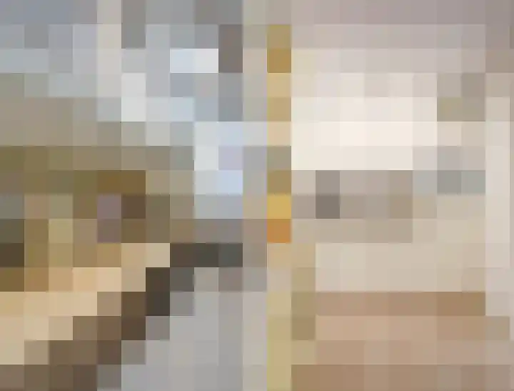 Oudewei 14 Bemmel thumbnail 39