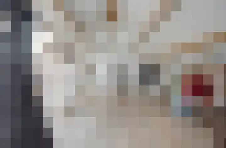 Oudewei 14 Bemmel thumbnail 42
