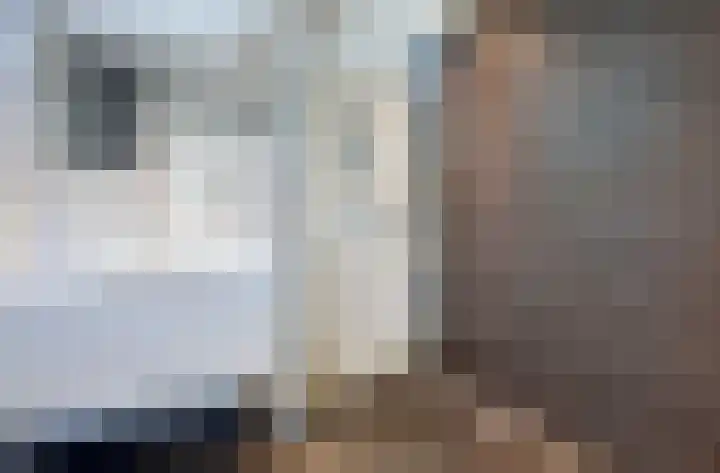 Oudewei 14 Bemmel thumbnail 48