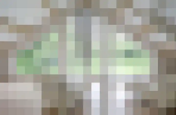 Oudewei 14 Bemmel thumbnail 53