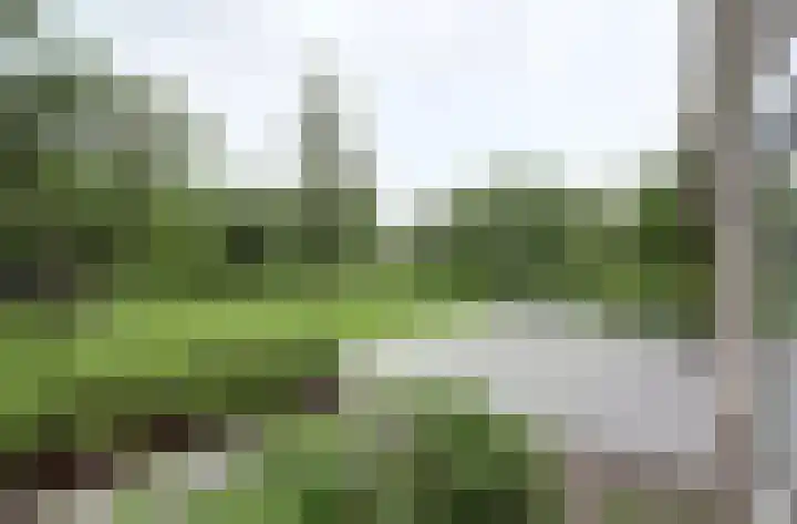 Oudewei 14 Bemmel thumbnail 55