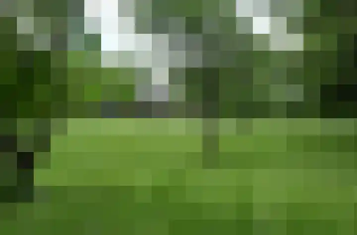 Oudewei 14 Bemmel thumbnail 56