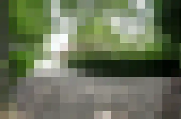 Oudewei 14 Bemmel thumbnail 61