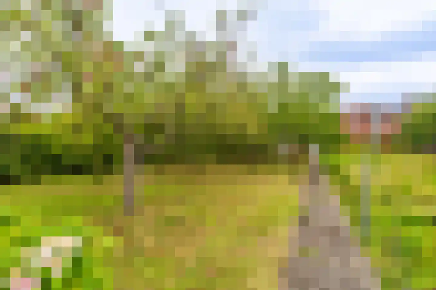 Oudewerfslaan 83 Winschoten thumbnail 17