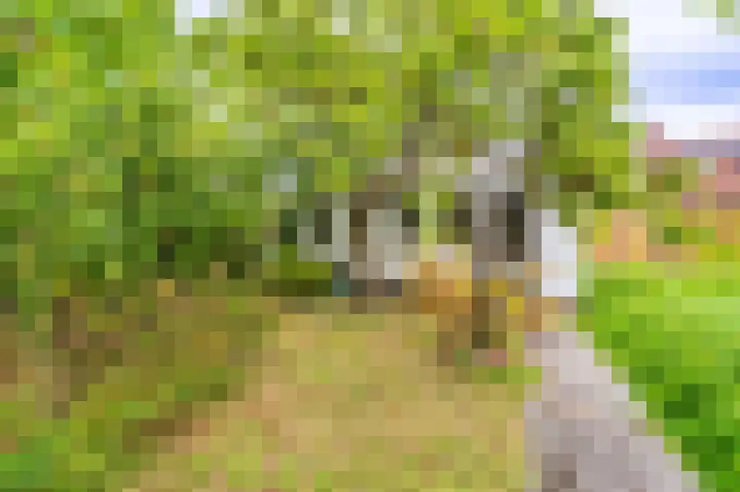 Oudewerfslaan 83 Winschoten thumbnail 18