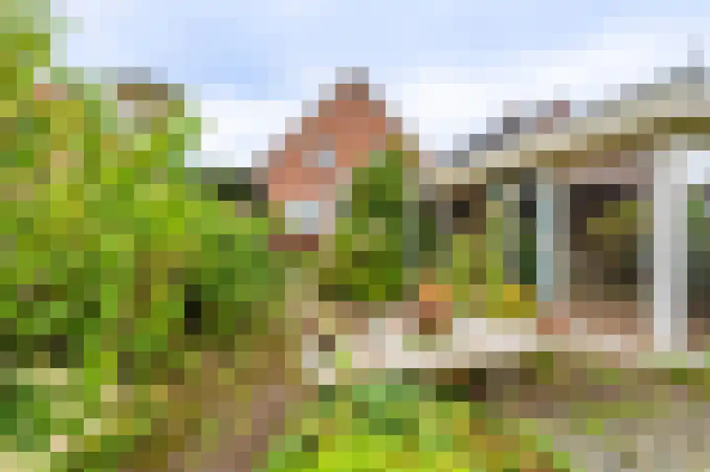 Oudewerfslaan 83 Winschoten thumbnail 21