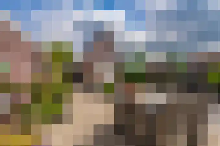 Oudewerfslaan 91 Winschoten thumbnail 41