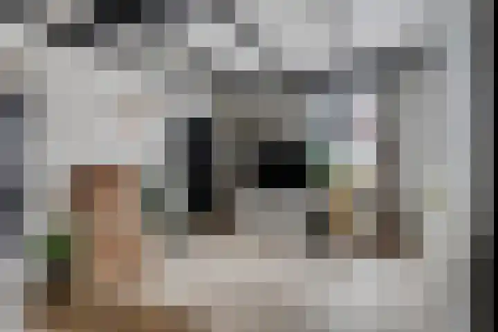 Oudewerfslaan 97 Winschoten thumbnail 7