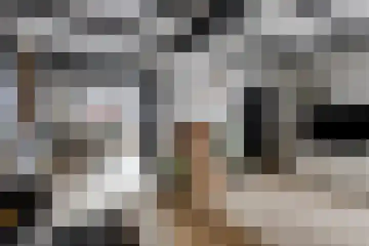 Oudewerfslaan 97 Winschoten thumbnail 8