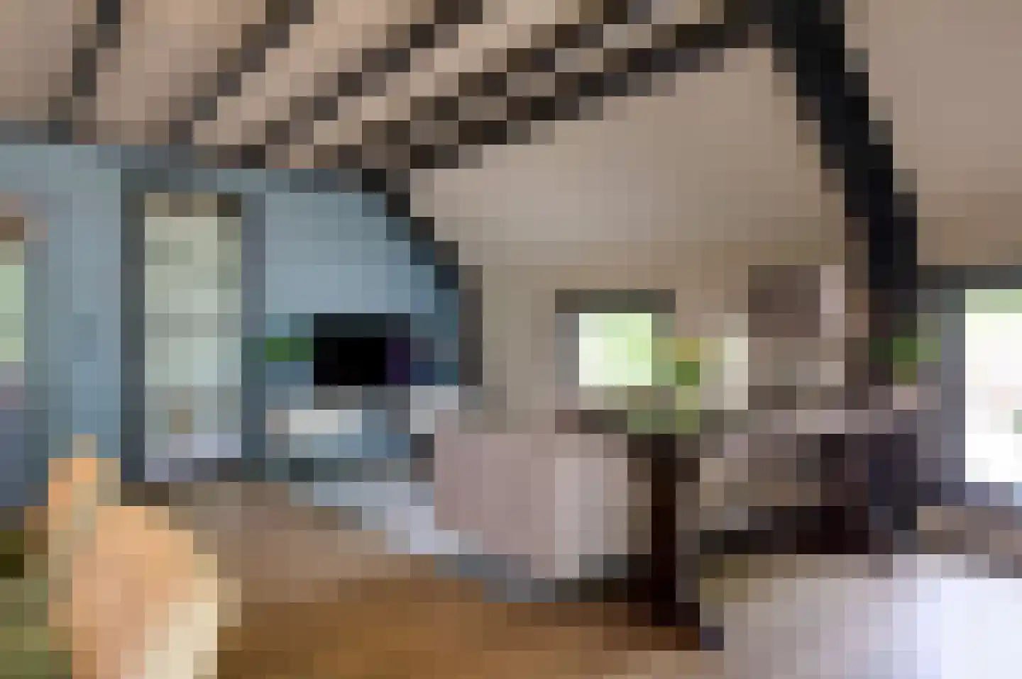 Oudewijk 25 Zevenhuizen thumbnail 17