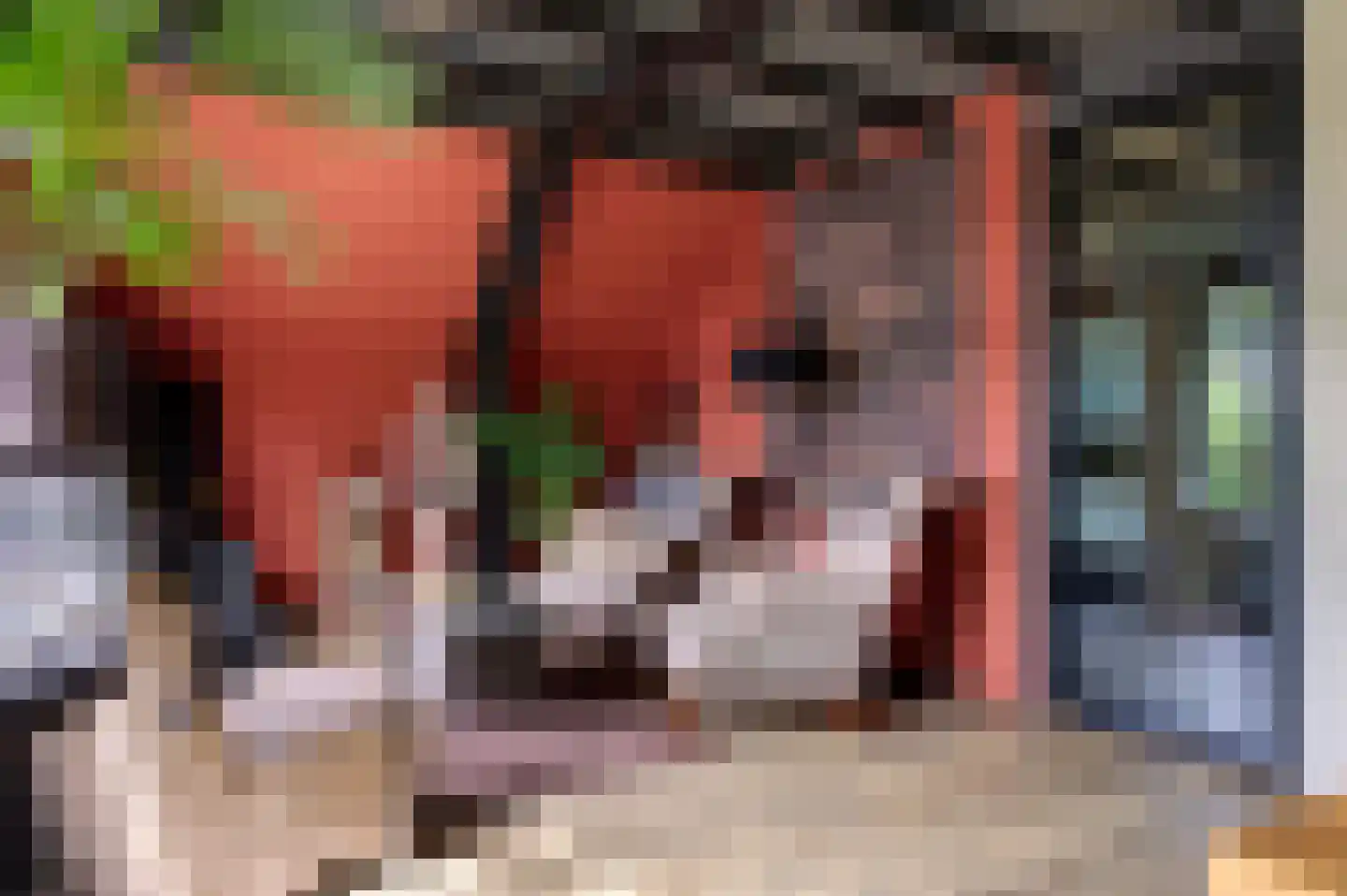 Oudewijk 25 Zevenhuizen thumbnail 20