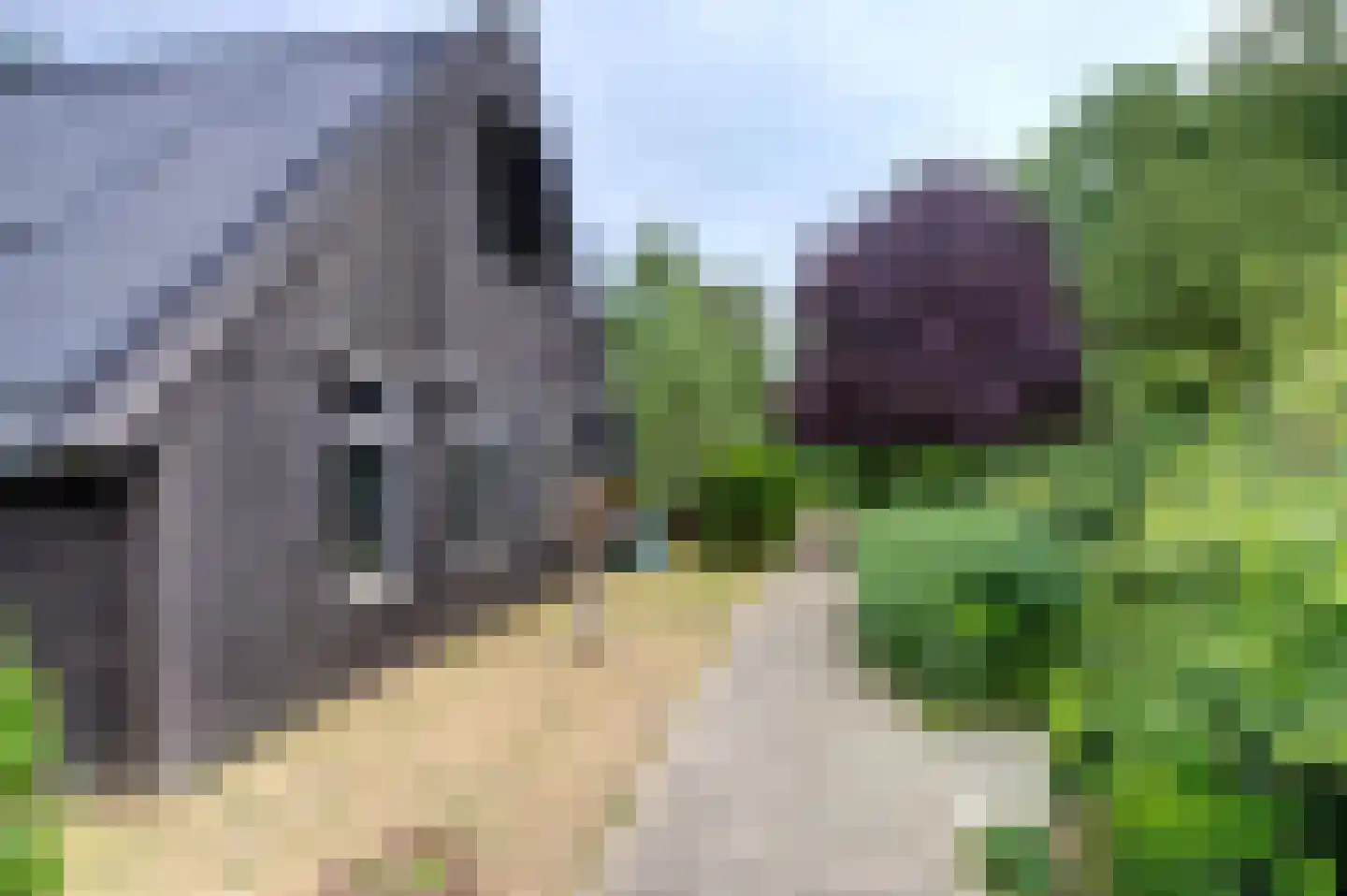 Oudewijk 25 Zevenhuizen thumbnail 33