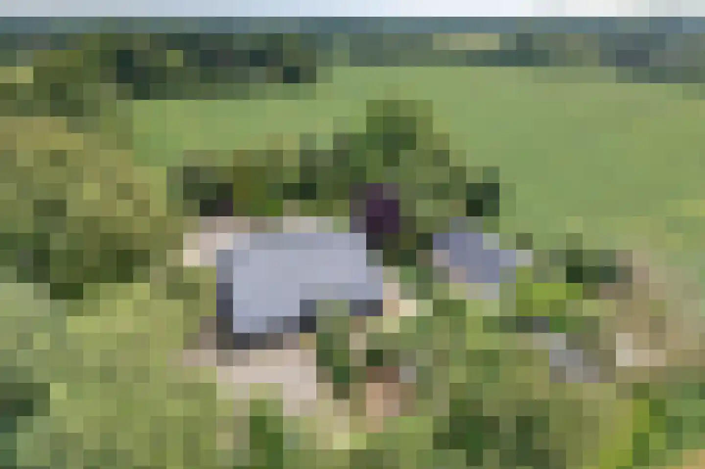 Oudewijk 25 Zevenhuizen thumbnail 34