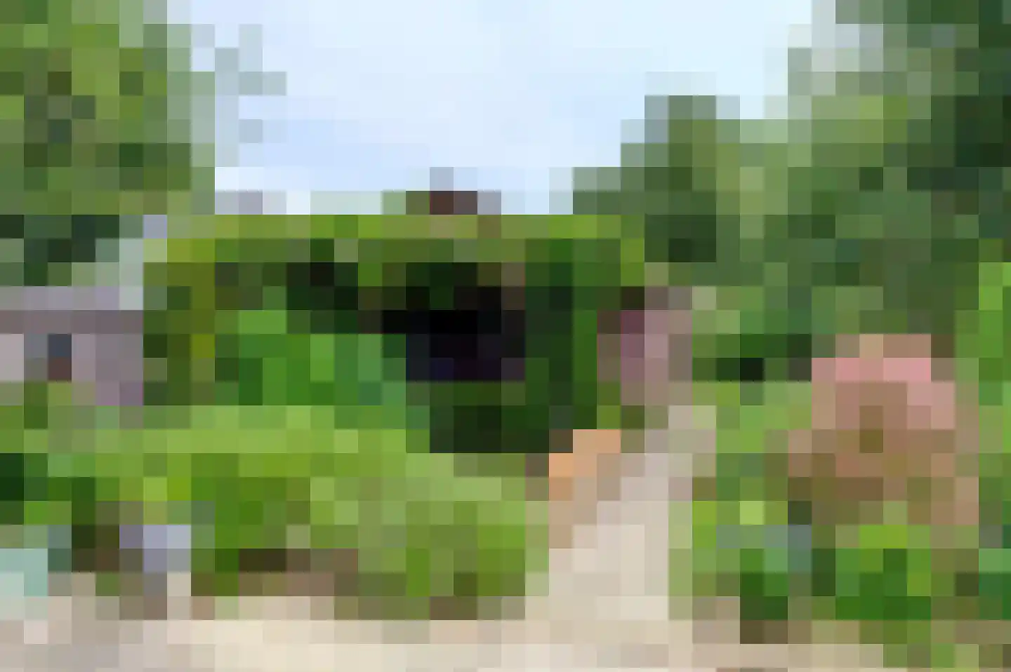 Oudewijk 25 Zevenhuizen thumbnail 36