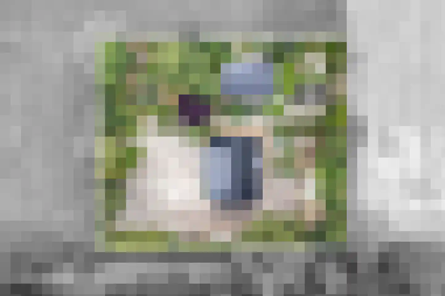 Oudewijk 25 Zevenhuizen thumbnail 4