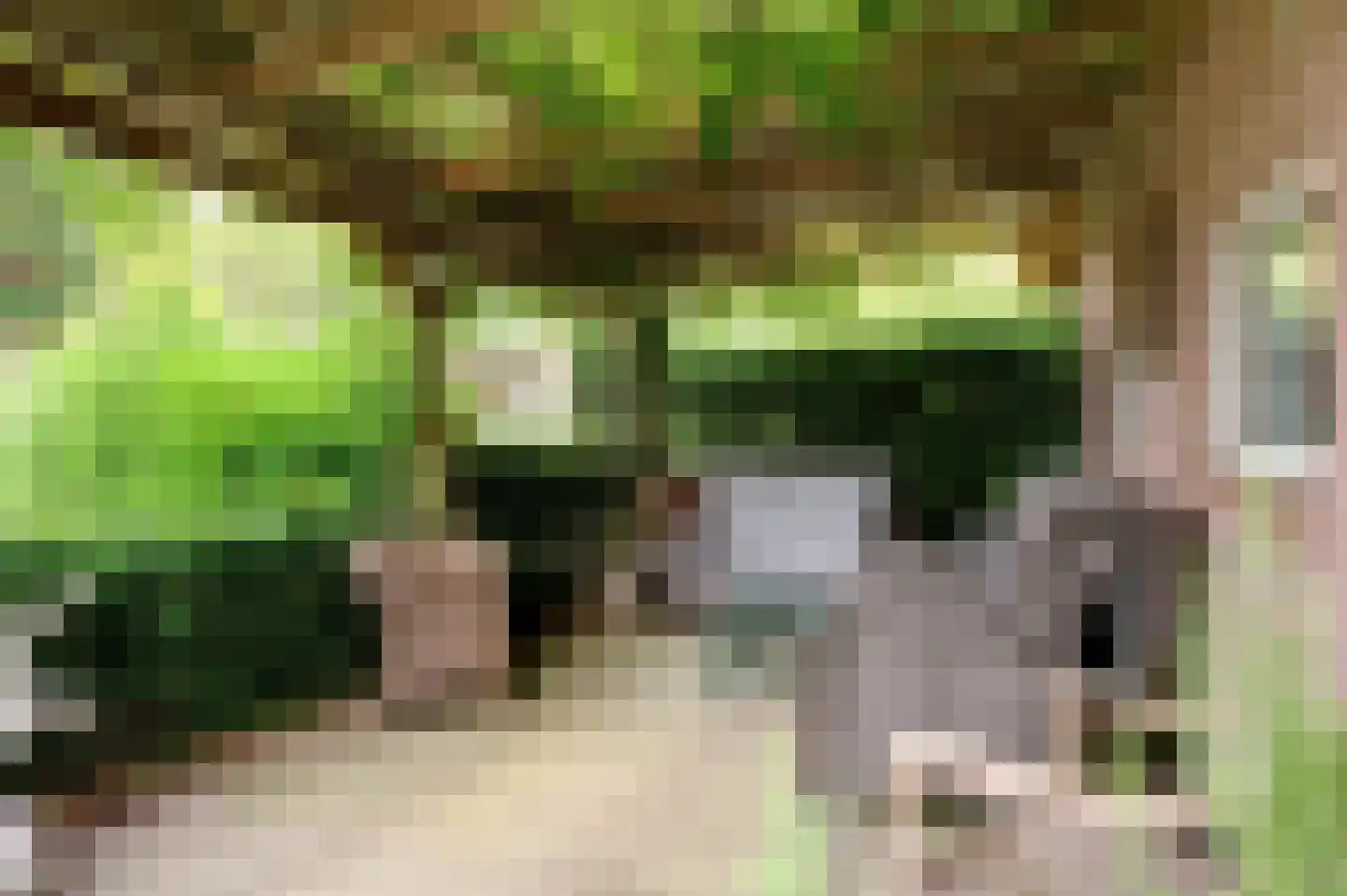 Oudewijk 25 Zevenhuizen thumbnail 44
