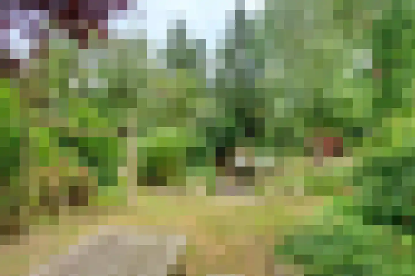 Oudewijk 25 Zevenhuizen thumbnail 46