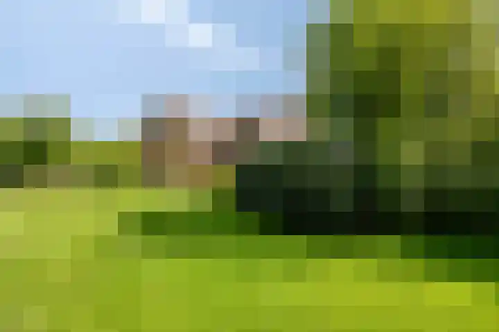 Oudewijk 32 Zevenhuizen thumbnail 10