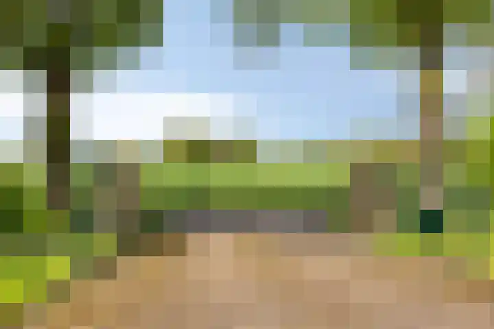 Oudewijk 32 Zevenhuizen thumbnail 12