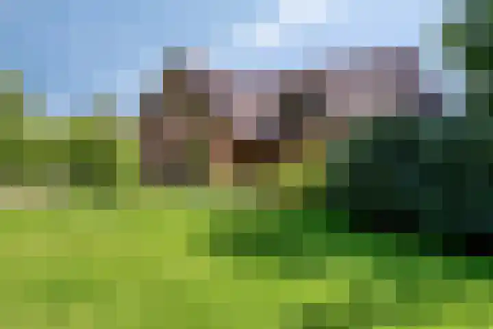 Oudewijk 32 Zevenhuizen thumbnail 6