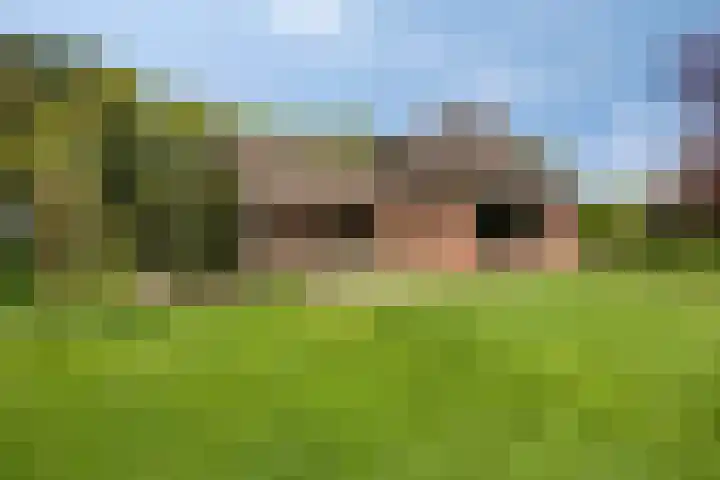 Oudewijk 32 Zevenhuizen thumbnail 61