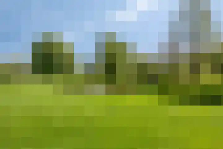 Oudewijk 32 Zevenhuizen thumbnail 65