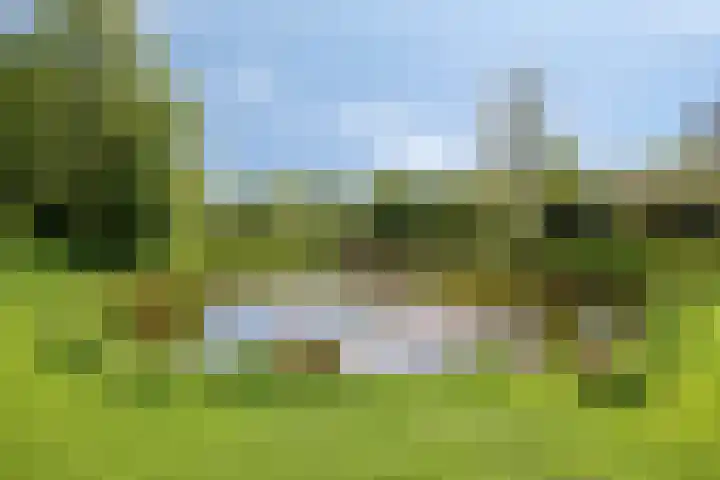 Oudewijk 32 Zevenhuizen thumbnail 67