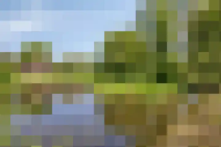 Oudewijk 32 Zevenhuizen thumbnail 70