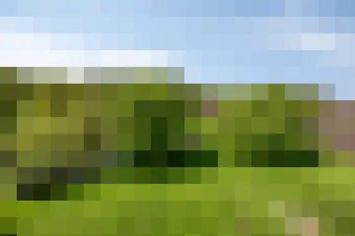 Oudewijk 32 Zevenhuizen thumbnail 71