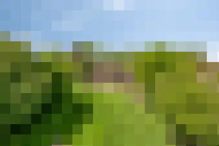 Oudewijk 32 Zevenhuizen thumbnail 73