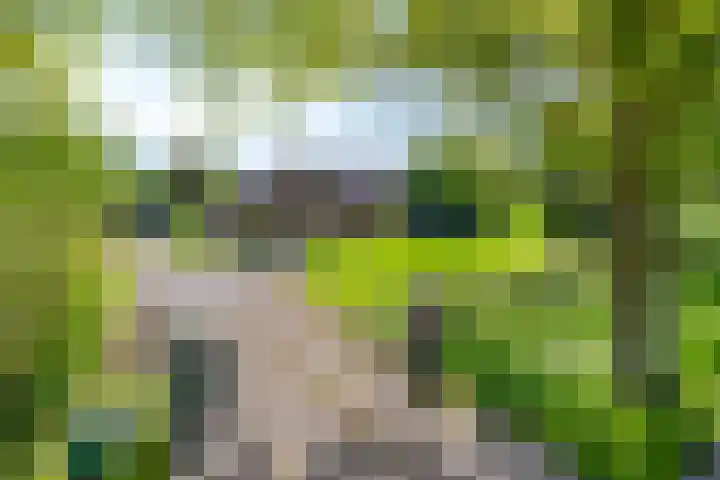 Oudewijk 32 Zevenhuizen thumbnail 9
