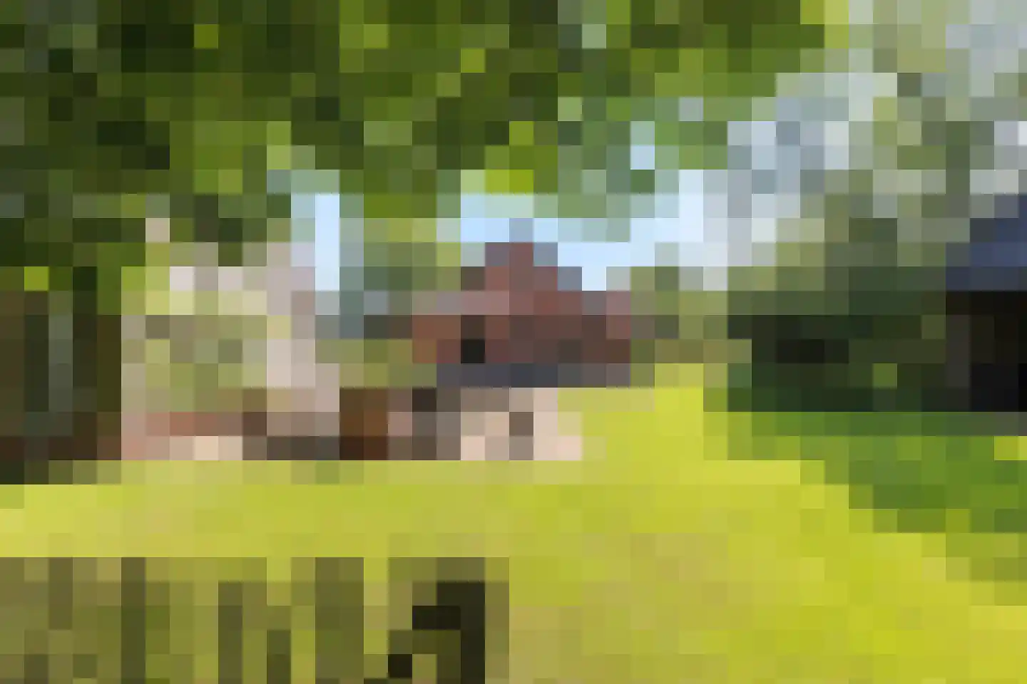 Oudewijk 7 Zevenhuizen thumbnail 4