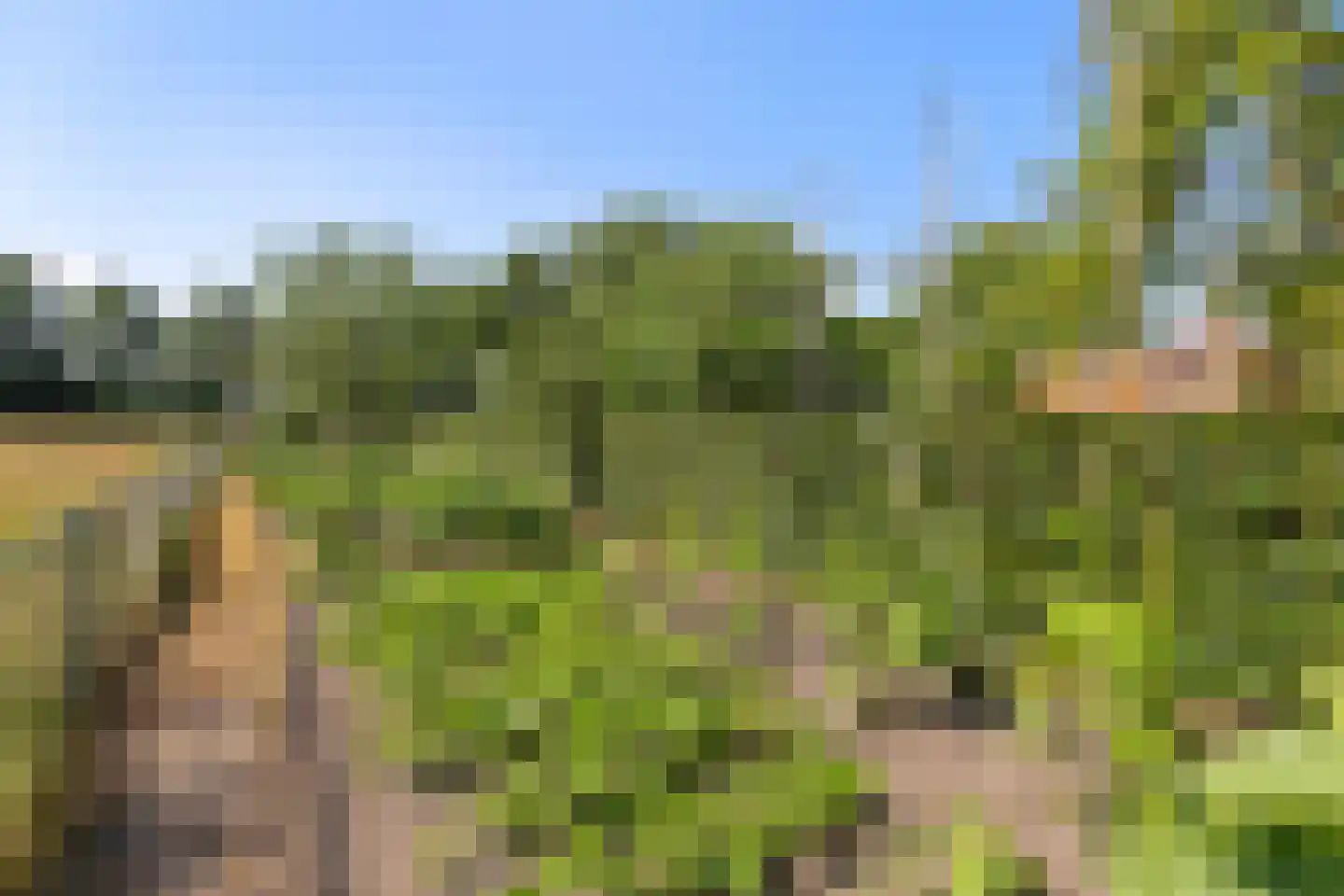 Oudewijk 7 Zevenhuizen thumbnail 43