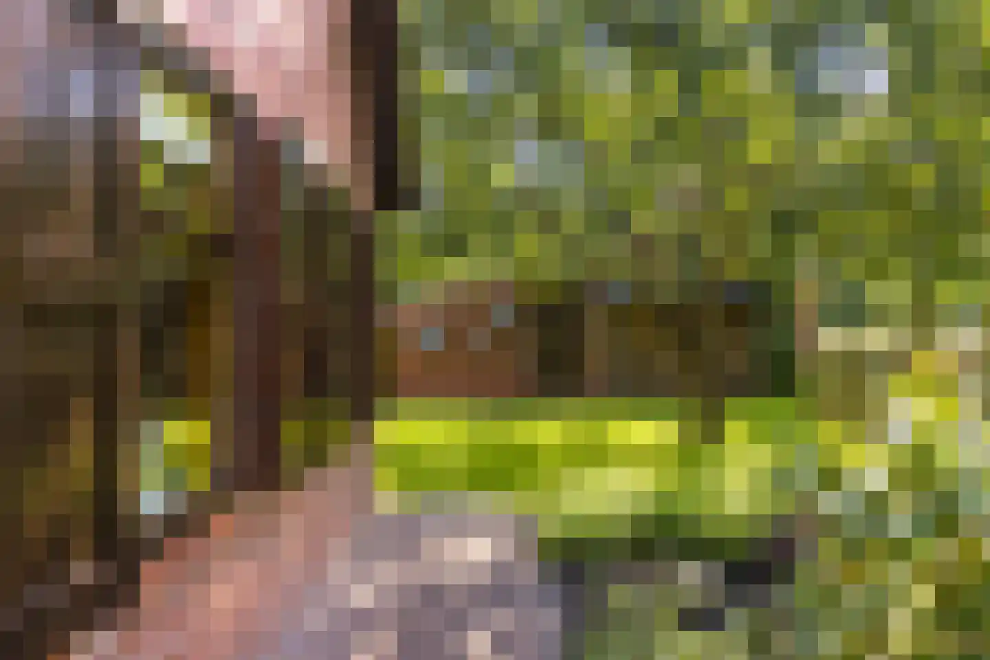 Oudewijk 7 Zevenhuizen thumbnail 44