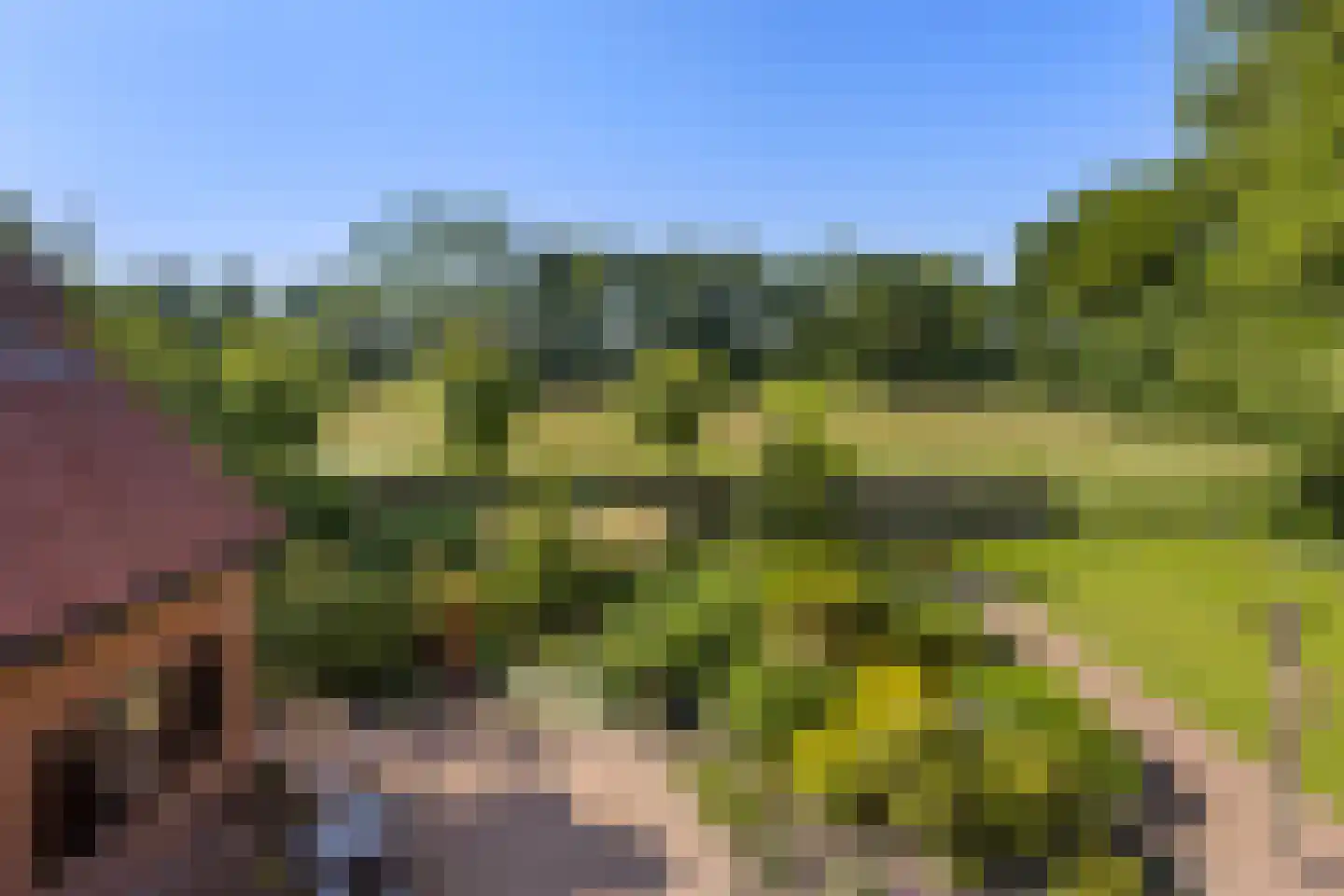Oudewijk 7 Zevenhuizen thumbnail 50