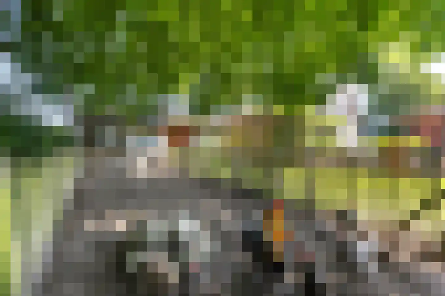 Oudewijk 7 Zevenhuizen thumbnail 54