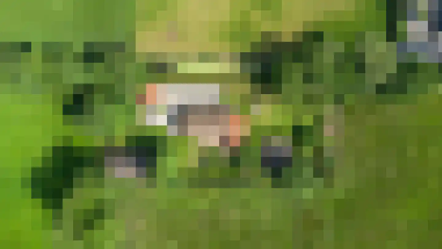 Oudewijk 7 Zevenhuizen thumbnail 59
