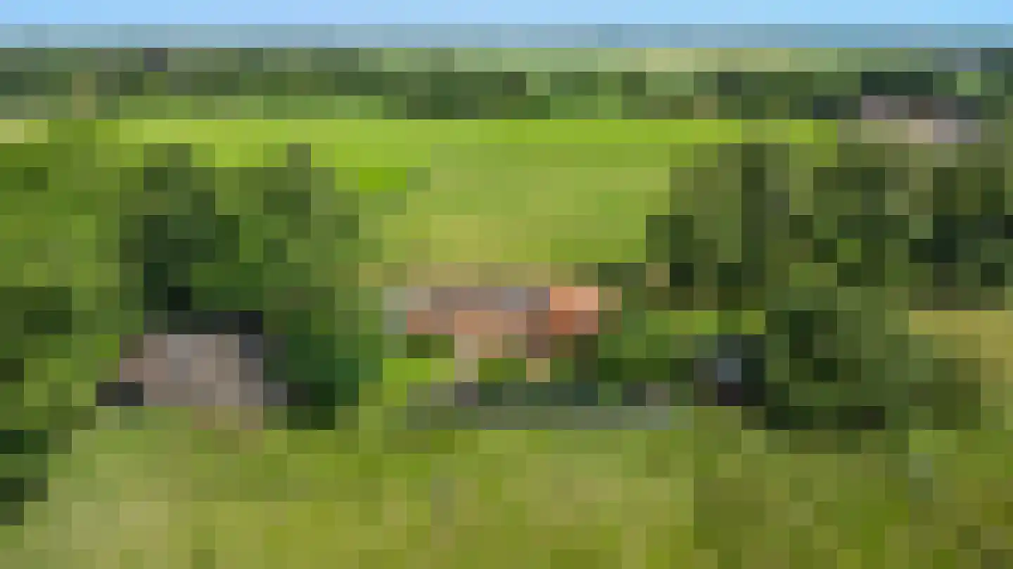 Oudewijk 7 Zevenhuizen thumbnail 60