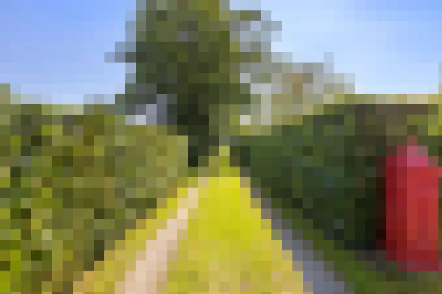 Oudewijk 7 Zevenhuizen thumbnail 7