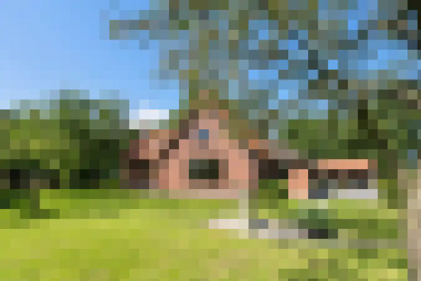 Oudewijk 7 Zevenhuizen thumbnail 8