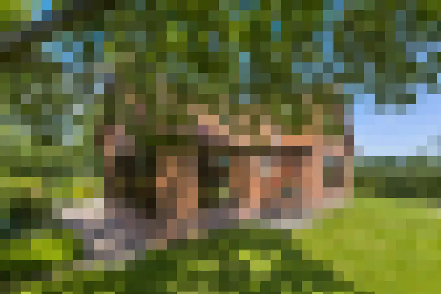 Oudewijk 7 Zevenhuizen thumbnail 9
