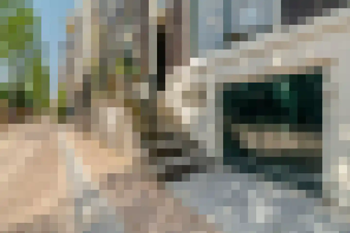 Oudezijds Achterburgwal 124 Amsterdam thumbnail 25