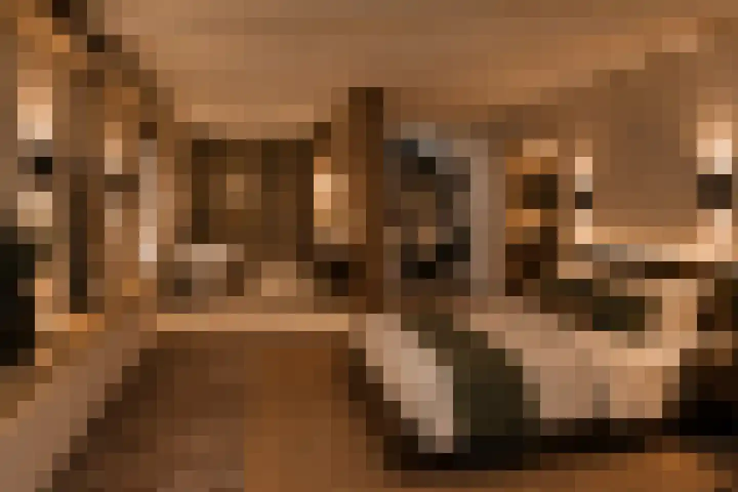 Oudezijds Achterburgwal 124 Amsterdam thumbnail 39