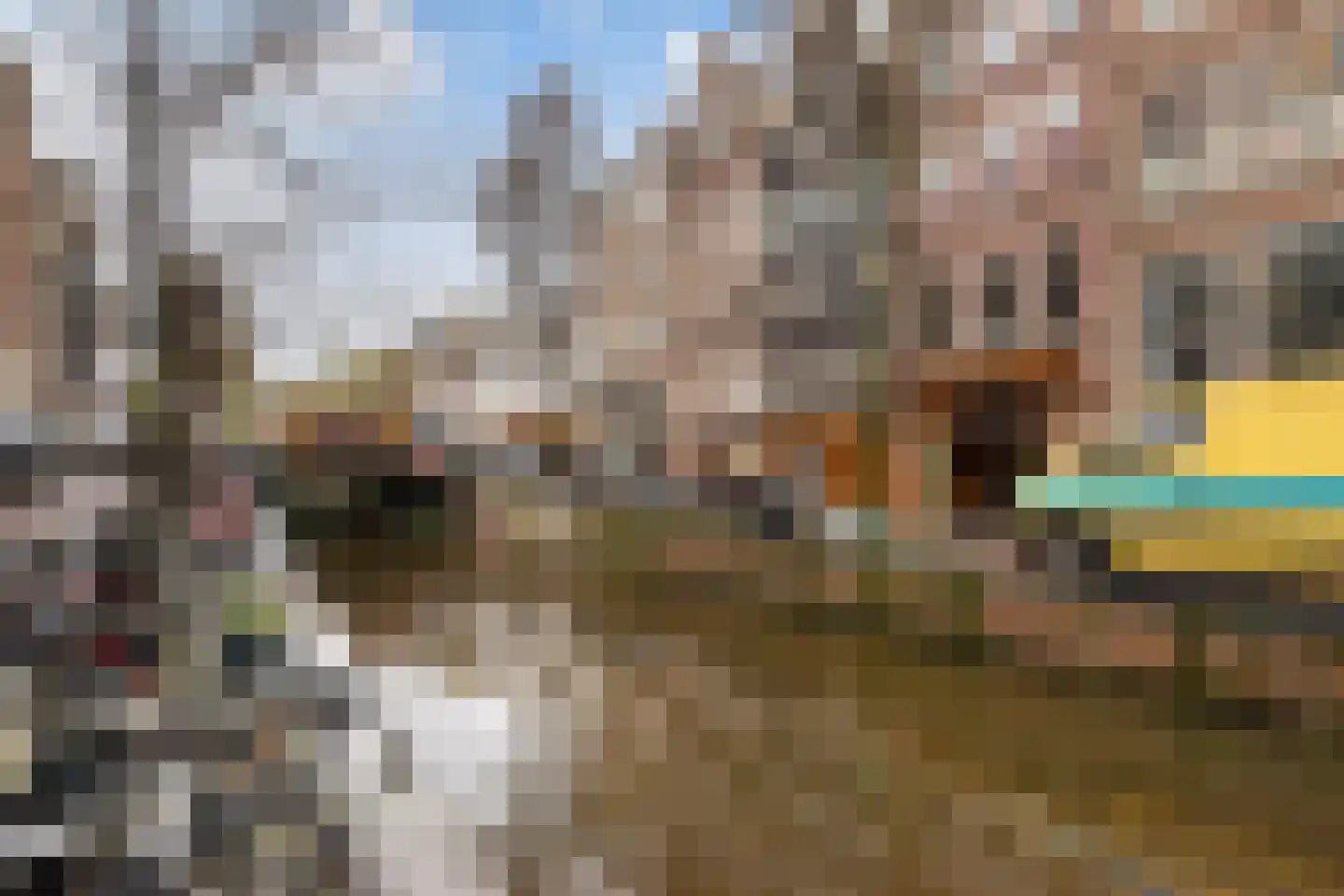 Oudezijds Achterburgwal 152 C Amsterdam thumbnail 31