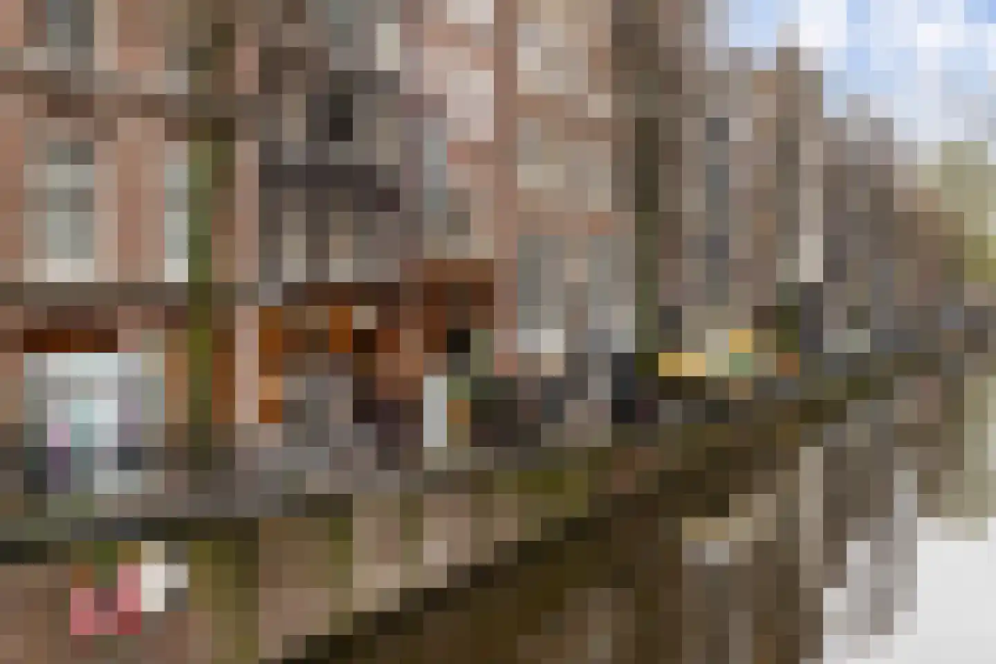 Oudezijds Achterburgwal 152 C Amsterdam thumbnail 38