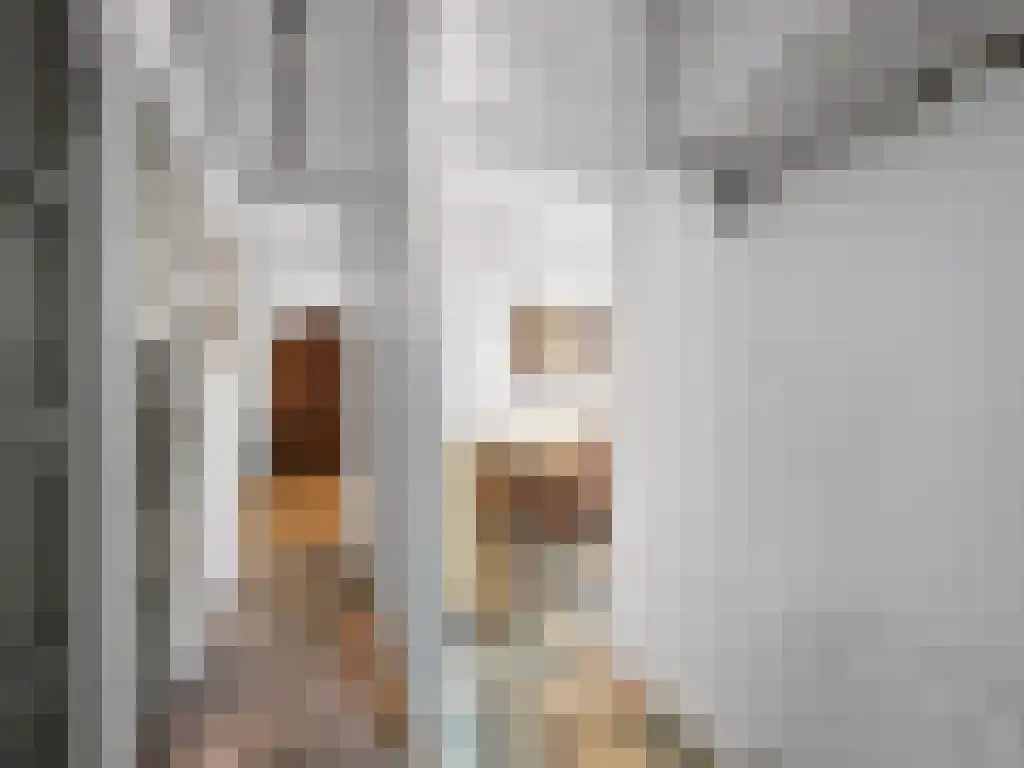 Oudezijds Achterburgwal 205 3 Amsterdam thumbnail 5