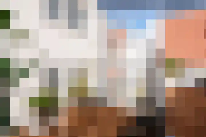Oudezijds Achterburgwal 210 Amsterdam thumbnail 8