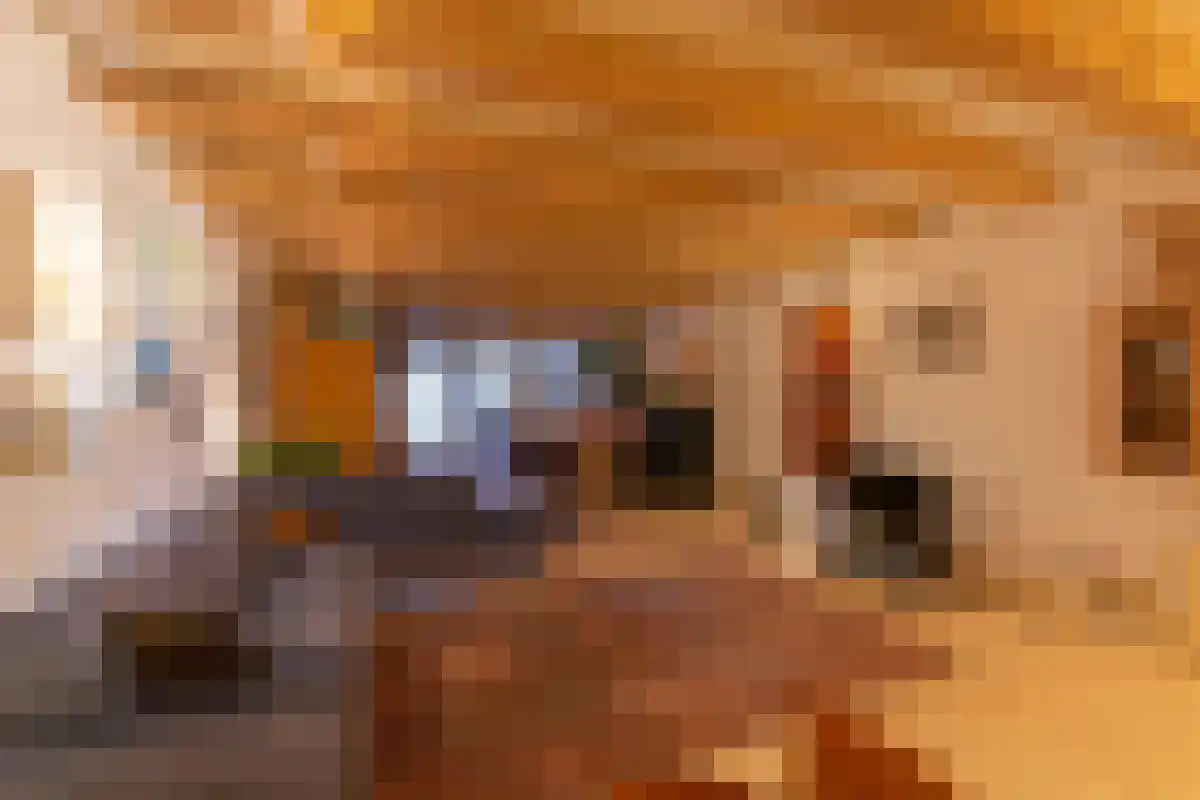 Oudezijds Kolk 11 Amsterdam thumbnail 5
