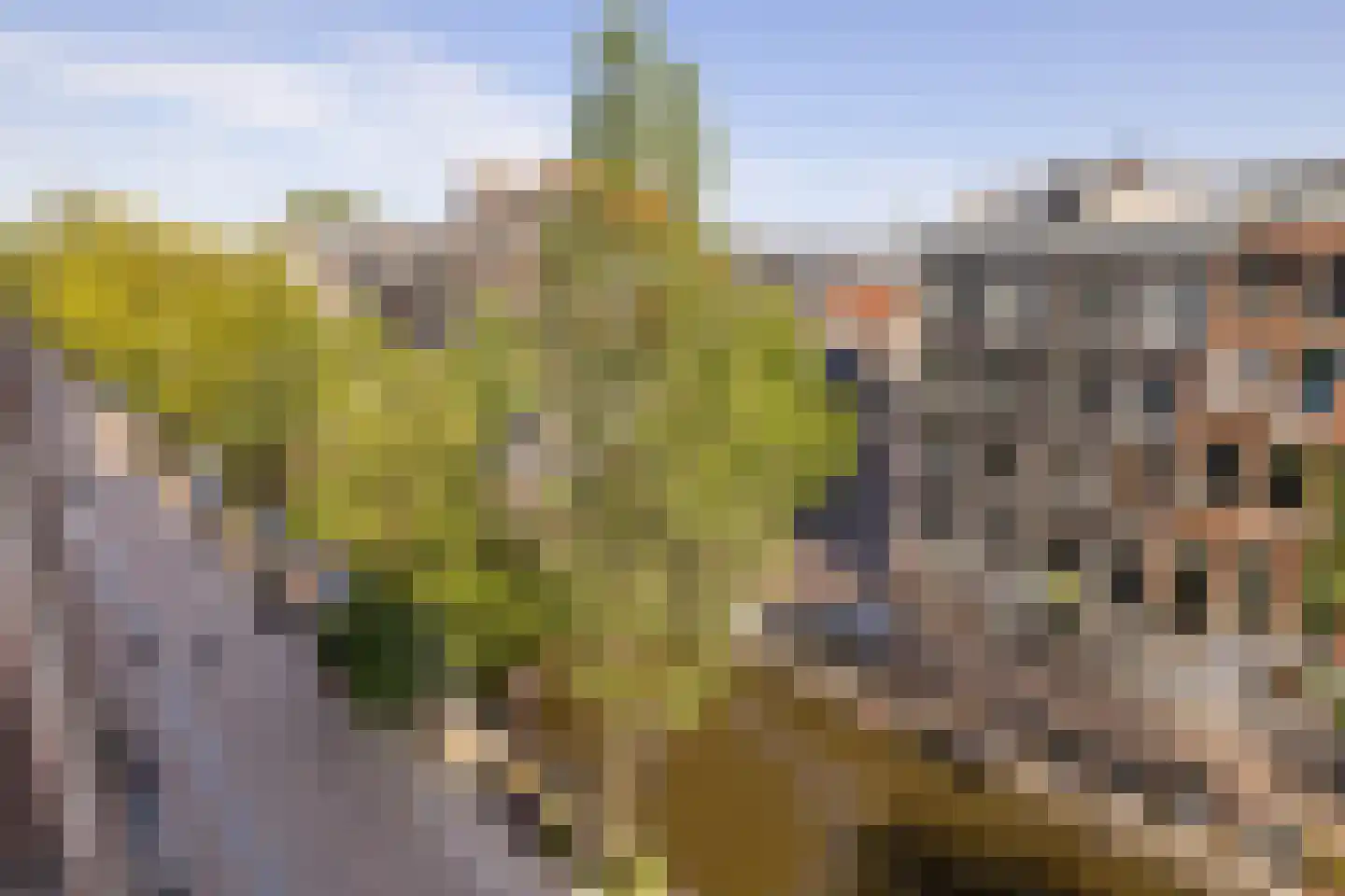 Oudezijds Voorburgwal 109 G Amsterdam thumbnail 19